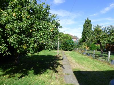 Picture 13